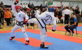 В Выборге состоялись областные соревнования по тхэквондо