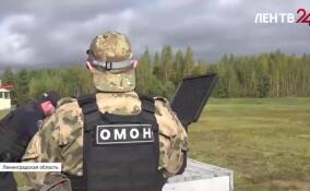 Сотрудники Росгвардии уничтожали беспилотники в Ленинградской области