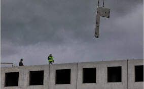 «Бетонные коробки» набирают популярность среди жителей Ленобласти