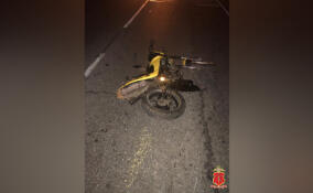 Водитель, сбежавший с места смертельной аварии у Вырицы, задержан