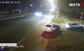 В Ломоносовском районе полицейские со стрельбой задержали школьников, подозреваемых в угоне иномарки