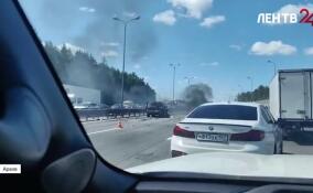 187 человек погибли на дорогах Ленобласти за первые девять месяцев 2025 года