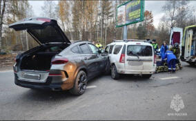 В ДТП у деревни Кальтино пострадал водитель легковушки