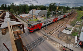 Использование липового студенческого в электричке обернулось для жителя Ленобласти уголовным делом