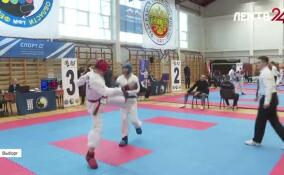 В Выборге прошли чемпионат и первенство по тхэквондо МФТ Ленинградской области