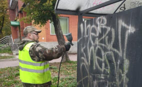 В Выборге борются с граффити