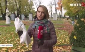 В Летнем саду скульптуры закрывают на зиму