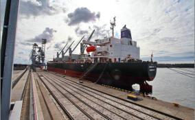 Через порт Высоцк в Китай отправлено 47 тысяч тонн гороха