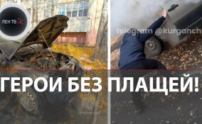 В Кургане прохожий спас пенсионера из горящей «Нивы»