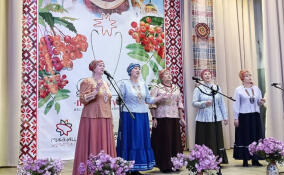 Ансамбль из Кингисеппского района стал лауреатом II степени «Покровских мотивов»