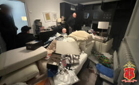 Жителя Лодейного Поля задержали за растление племянниц сожительницы