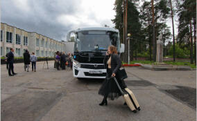 Депутаты Ленобласти предложили приоритетное обслуживание на транспорте для беременных и ветеранов