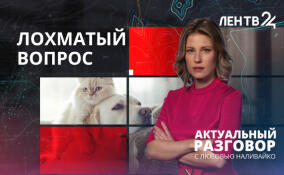 «Прописка» для питомцев: в Минприроды предлагают ввести обязательный учёт домашних животных