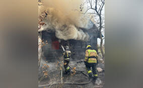 В садоводстве под Всеволожском сгорела дача