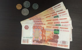 Предпринимательницу из Кингисеппа оштрафовали за мошенничество с социальной выплатой