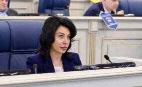 Депутаты Заксобрания Ленобласти рассмотрели 23 законопроекта