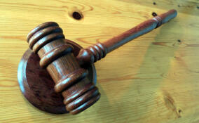 Мужчину будут судить за мошенничество на 31 млн рублей в Петербурге