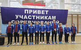 В Сертолово определят сильнейший школьный спортклуб по нормативам ГТО