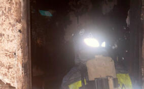 Пожарные эвакуировали 27 жильцов из горящего дома в Гатчине