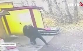 В Бокситогорском районе под стражу отправили местного жителя, убившего повара кафе