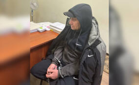 Петербургская полиция раскрыла убийство 20-летней давности