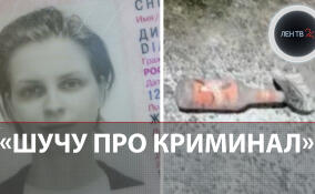 Криминалист Диана стала жертвой мошенников и кинула коктейль Молотова на территорию МВД