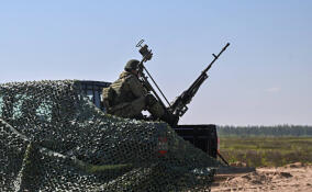 В Ленобласти создадут военизированное подразделение «БАРС-47»