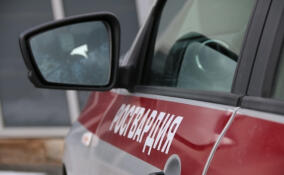 Мужчина выстрелил в охранника из травматического пистолета в Невском районе