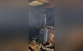 Мужчину доставили в больницу после пожара в бане в Волхове