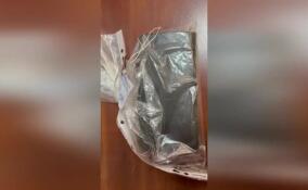 Транспортная полиция раскрыла кражу смартфона в электричке «Волховстрой-Санкт-Петербург»