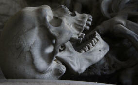 На стройплощадке больницы в Кировске нашли гроб с останками двух человек