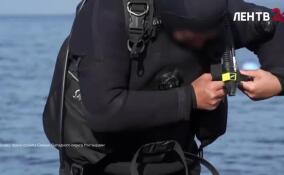 Бойцы Росгвардии отработали поиск и уничтожение диверсантов в Финском заливе