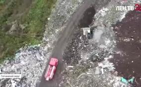 Александр Дрозденко направил официальные обращения в прокуратуру, полицию и СК по Ленобласти по поводу деятельности компании «Монита»