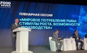 Дмитрий Патрушев поприветствовал участников пленарной сессии VIII Международного рыбопромышленного форума