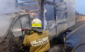 Пожарные потушили горящую «Газель» на трассе М-11 «Нева»