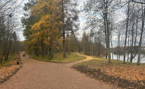 В Приоратском парке завершили второй этап ремонта дорожек