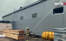 В Мурино полностью ликвидировали возгорание в цеху деревообработки