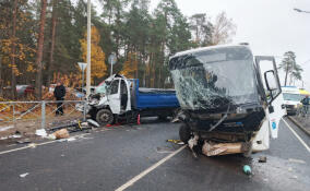 Шесть человек пострадали в лобовом столкновении автобуса и «ГАЗели» в Большой Ижоре