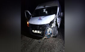 Три человека попали в больницу после ДТП в Лодейнопольском районе