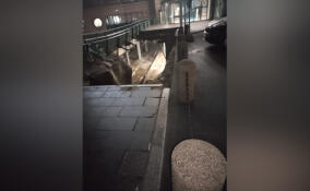 На Ладожском вокзале обвалилась крыша платформы