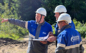 Подключиться к газу смогут жители более 900 домов в Выборгском районе