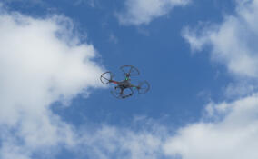 За ночь системы ПВО Ленобласти нейтрализовали восемь беспилотников