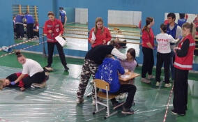 Команда из Тосно одержала победу в областном чемпионате по первой помощи