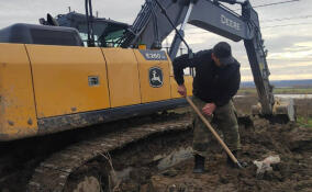 Незаконную свалку в Яльгелево ликвидировали в ходе совместного рейда