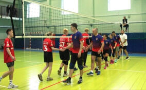 Волейбольный триумф Выборгской таможни: Кубок начальника завоеван в честь профессионального праздника