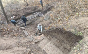 В усадьбе «Приютино» обнаружили баню, в которой мылся баснописец Крылов