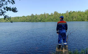 За неделю спасатели Ленобласти 13 раз выезжали на помощь жителям