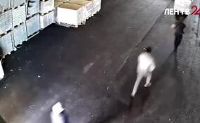 Силовики задержали иностранца, занимавшегося поставкой и распространением наркотиков в России