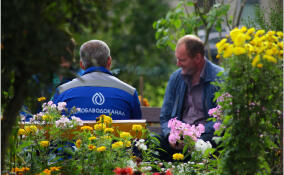 Самовольные подключения к водопроводу в Ленобласти можно узаконить до 1 ноября