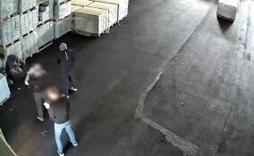 В Ленобласти иностранец занимался наркоторговлей и работал на спецслужбы Украины